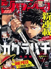 白鸦与魔杖 魔法少女漫画封面